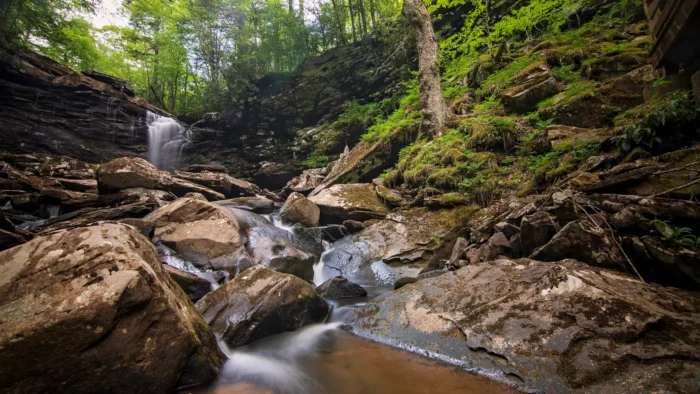 Falls of Hills Creek cascading over mossy boulders in a rocky forested gorge.