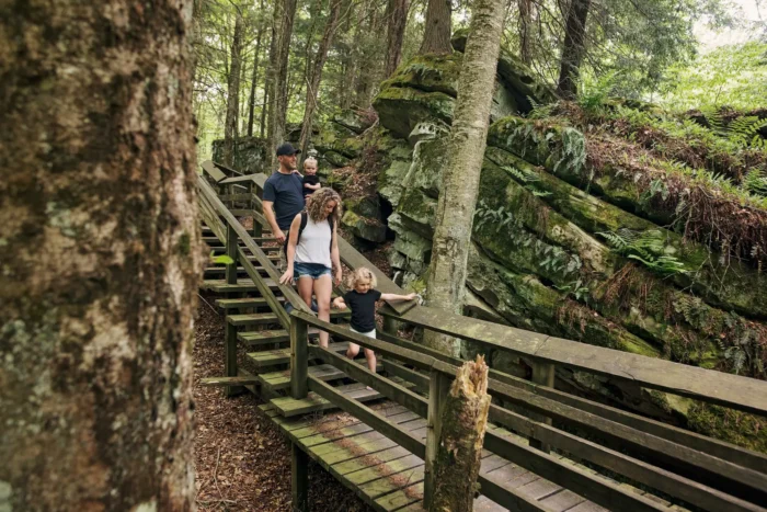 A family walking the boardwalk at Beartown State Park, passing by large boulders covered in moss.