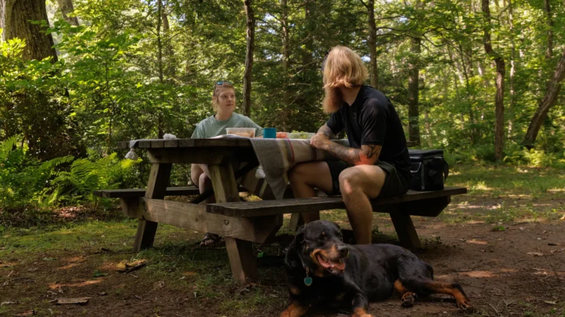 Two people sitting at a picnic table in the woods with their dog.