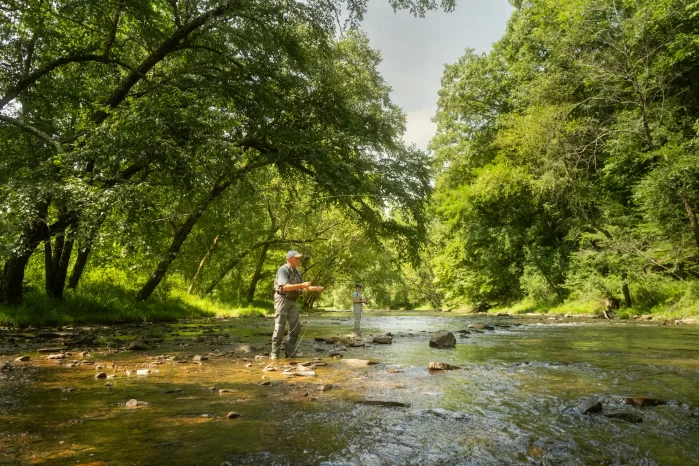 Two fly fishermen stand on rocks and cast into a river in Pocahontas County. 