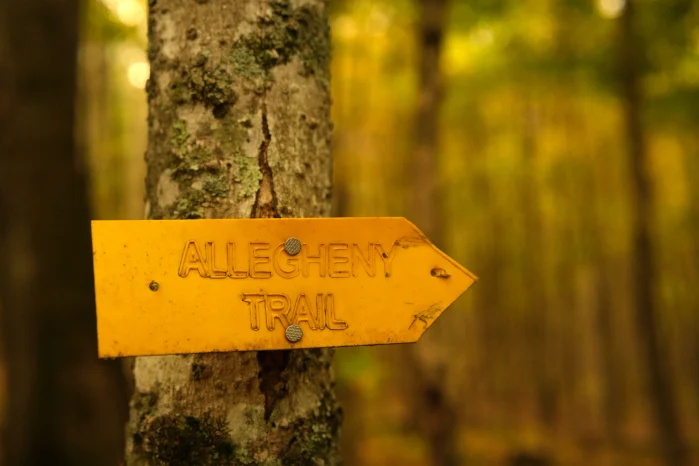 Arrow-shaped trail sign for Allegheny Trail nailed to a tree in an autumn forest. 
