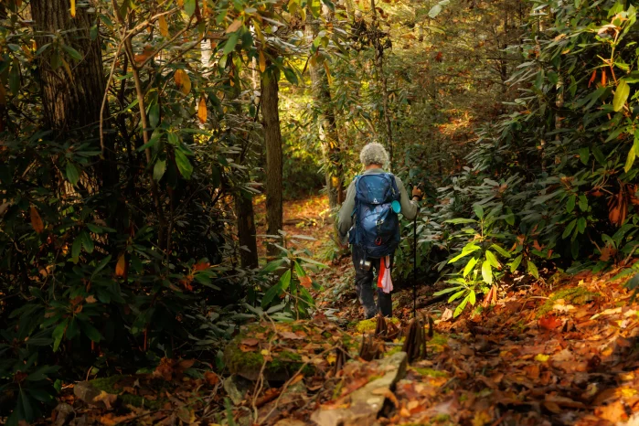 A woman hiking downhill on the Allegheny Trail, surrounded by forest and fall foliage.
